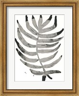 Framed Foliage Fossil IV