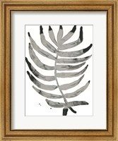Framed Foliage Fossil IV