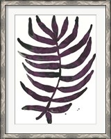 Framed Foliage Fossil VI