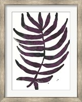 Framed Foliage Fossil VI