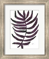 Framed Foliage Fossil VI