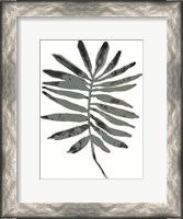 Framed Foliage Fossil VII