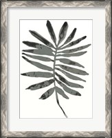 Framed Foliage Fossil VII