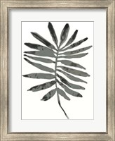 Framed Foliage Fossil VII