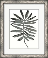 Framed Foliage Fossil VII
