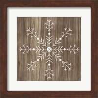 Framed Barnwood Wonderland I