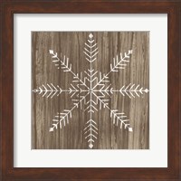 Framed Barnwood Wonderland IV