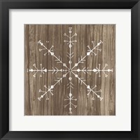 Framed Barnwood Wonderland V