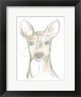 Framed Deer Cameo II
