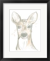 Deer Cameo II Framed Print