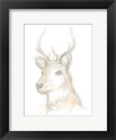Framed Deer Cameo III