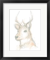 Deer Cameo III Framed Print