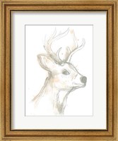 Framed Deer Cameo IV