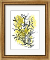Framed Citron Sea Kelp II