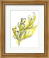 Framed Citron Sea Kelp III