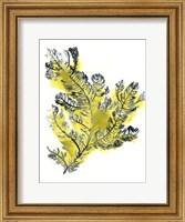 Framed Citron Sea Kelp IV