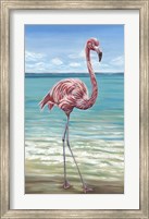 Framed Beach Walker Flamingo I