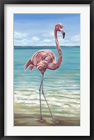 Beach Walker Flamingo I Framed Print