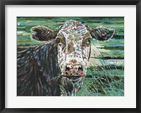 Marshland Cow II Framed Print
