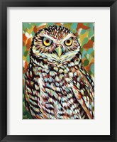 Fury Feather Friends II Framed Print