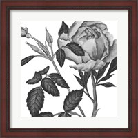 Framed Flowers in Grey I
