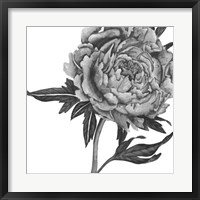 Framed Flowers in Grey II