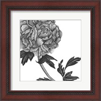 Framed Flowers in Grey III