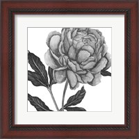 Framed Flowers in Grey IV