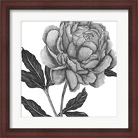 Framed Flowers in Grey IV