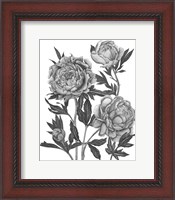 Framed Flowers in Grey V