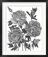 Framed Flowers in Grey VI