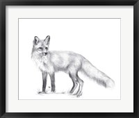 Wildlife Trail I Framed Print