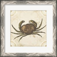 Framed La Mer Shellfish I