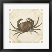 Framed La Mer Shellfish I