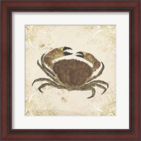 Framed La Mer Shellfish II