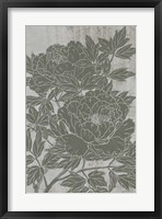 Blooming Peony I Framed Print