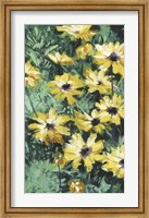 Framed Floral Impressions II