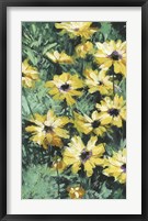 Floral Impressions II Framed Print