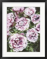 Rose Rhapsody I Framed Print