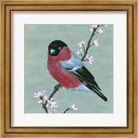 Framed Bird & Blossoms I
