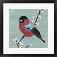Framed Bird & Blossoms I
