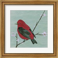 Framed Bird & Blossoms III