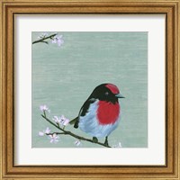 Framed Bird & Blossoms IV