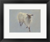 Framed Sheep Strut II