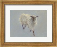 Framed Sheep Strut II