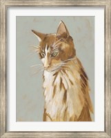Framed Lap Cat II