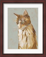 Framed Lap Cat II