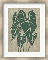 Framed Vintage Greenery III