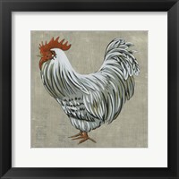 Roost II Framed Print