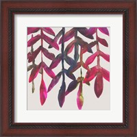 Framed Fuchsia Vine I